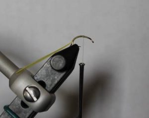 b2ap3_thumbnail_IMG_4228