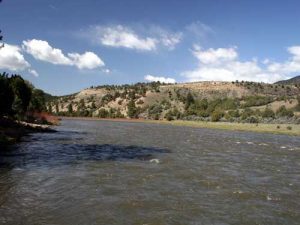 colorado river report fly fishing