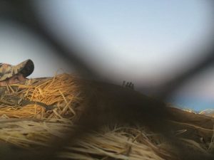 1376583_10101861834395933_8328259233835132329_n