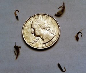 Gore Creek flies