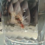 Shimizake Dry Shake Liquid vs. Loon Aquel