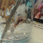 Shimizake Dry Shake Liquid vs. Loon Aquel