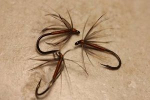 b2ap3_thumbnail_Niklas-Dahlin-Plover-Spider