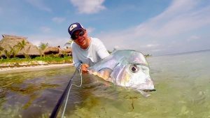 African Pompano_MX