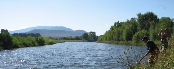 South Platte river denver-fly Fishing has not been this good EVER