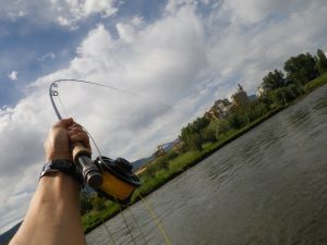 Eagle River Fishing Report--Downvalley: Wolcott to Gypsum