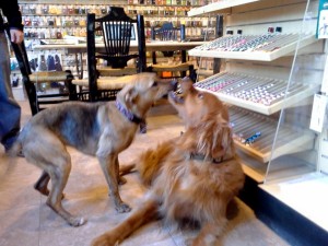 Tippet just LOVES Teva...