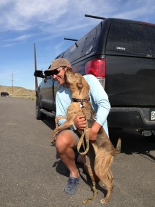 Teva happy to come after two nights at the vet where she made a full recovery!