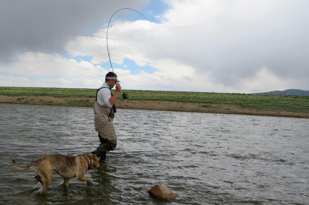 fly-fishing-with-your-dog.jpg