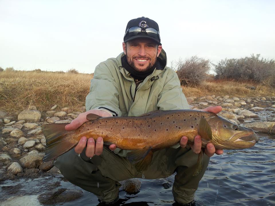miracle mile male brown trout november