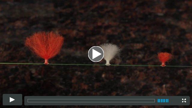 New Zealand Strike Indicator Tool