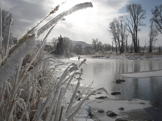 colorad-river-winter-near-williams-fork