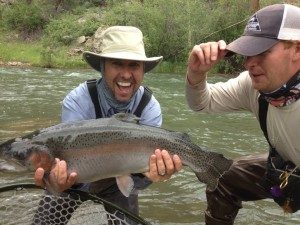 colorado-trophy-rainbow-trout-fly-fishing