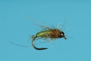 deep-6-caddis
