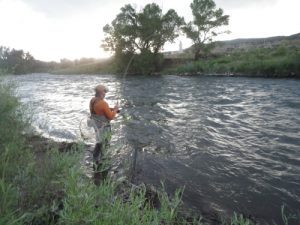 Duane Spooling