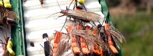 fly-fishing-entemology-fly-selection