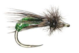graphic-caddis