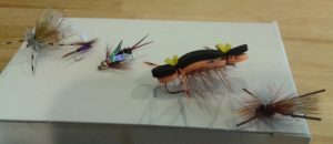 fly selection impressionistic flies