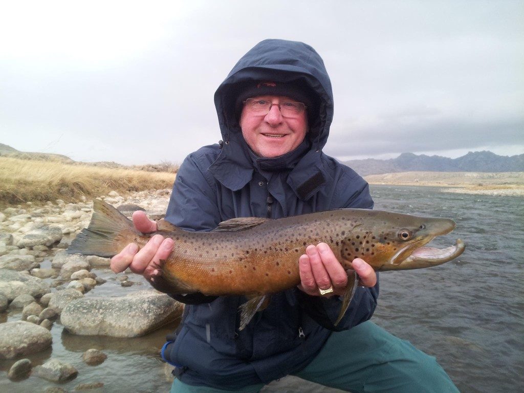 november brown trout miracle mile