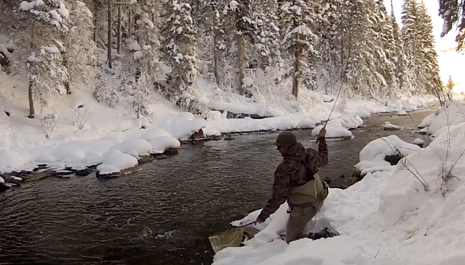 yampa-river-winter-fly-fishing
