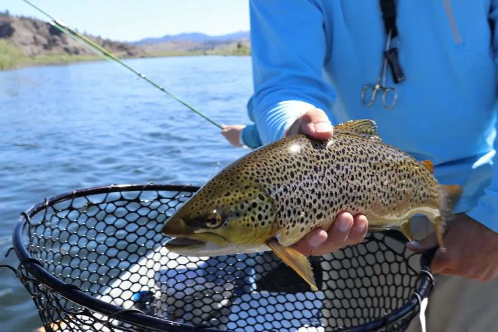 guided fly-fishing trip