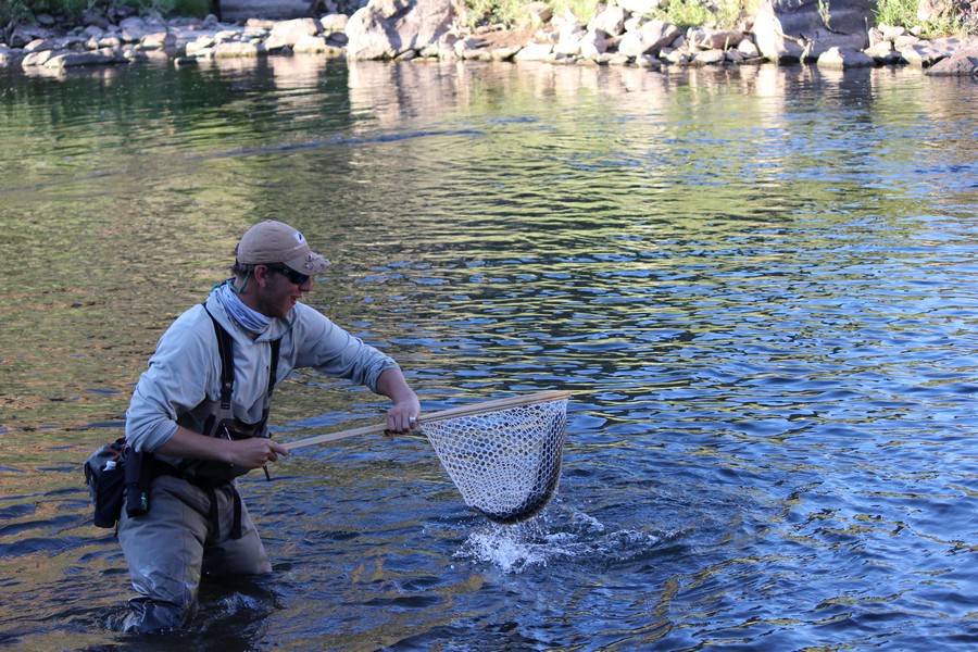 11563-Eagle River Vail-Wade fishing