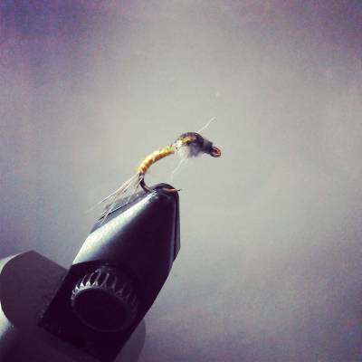 12933-Tips for Tying the Stonefly Variant-tip8