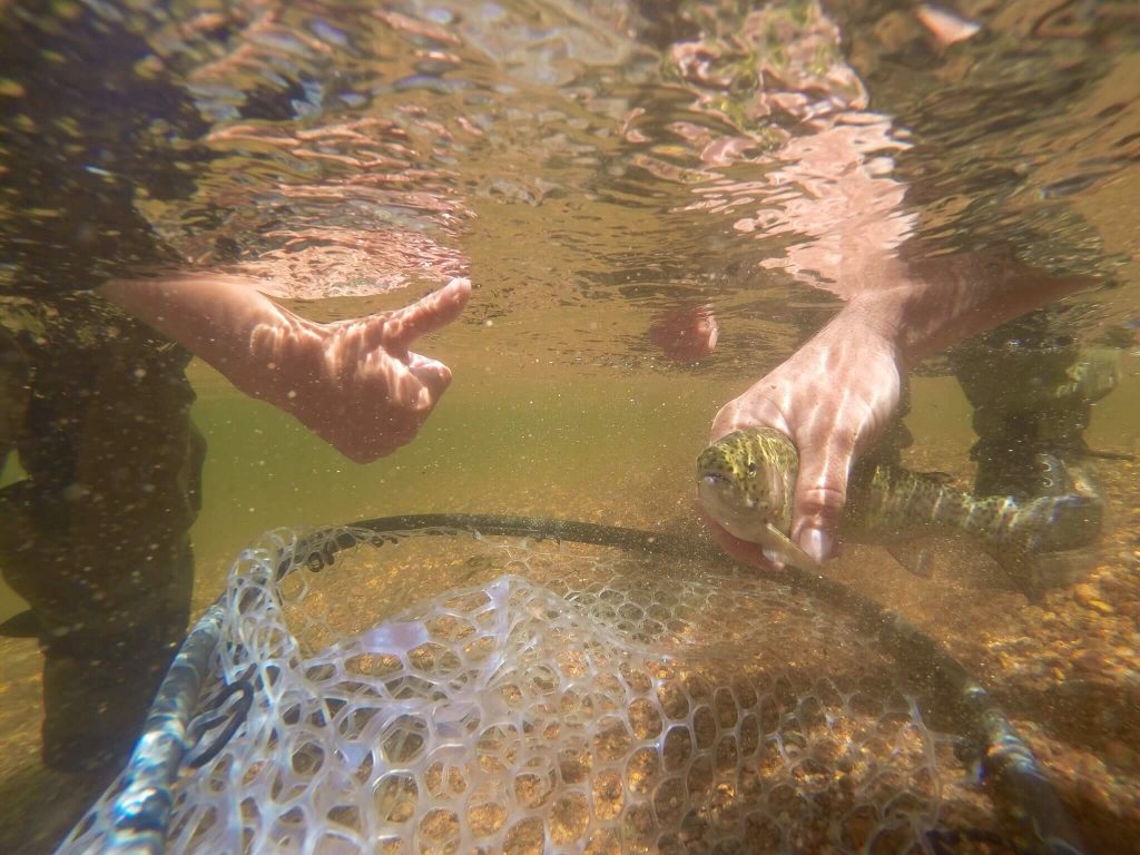 15053-Piney Lake & Upper Piney River-Andrew Smith-clear water