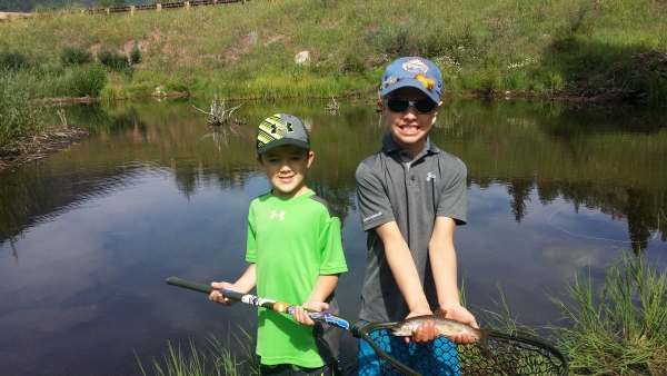 Brook trout