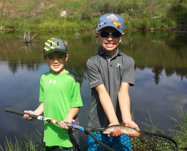 Fall Brookies near upper Gore Creek