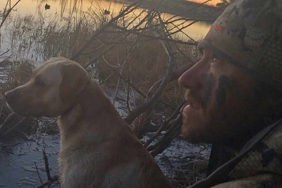 15533-Nov.3rd Waterfowl Update-Man hunting ducks with his dog