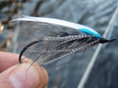 15608-Fly Tying Night at Minturn Anglers – Parker -Fly-Pic