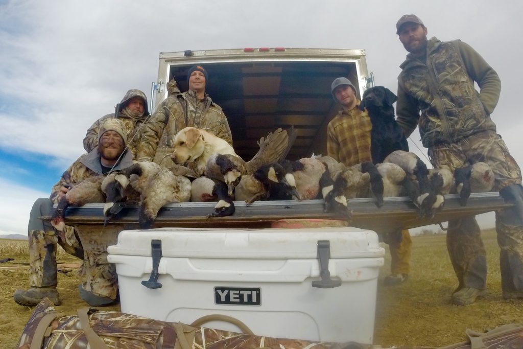 15783-Duck and Goose Update-group hunting goose-Klay Reiter