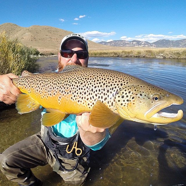 40150-Dream Stream-Man with a big brown trout
