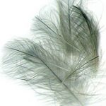 4322-CDC Feathers-CDC (Cul-De-Canard) Standard