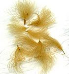 4322-CDC Feathers-CDC Puffs