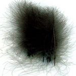 4322-CDC Feathers-CDC Super Select