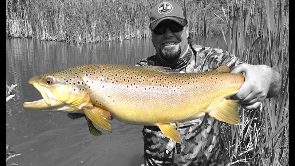 8101-Wayne Palinckx Fly Fishing Guide -holding brown trout