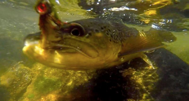 40482-FALL FISHING SPECIALS-Full Day Floats or Wades for a 3/4 Day Price