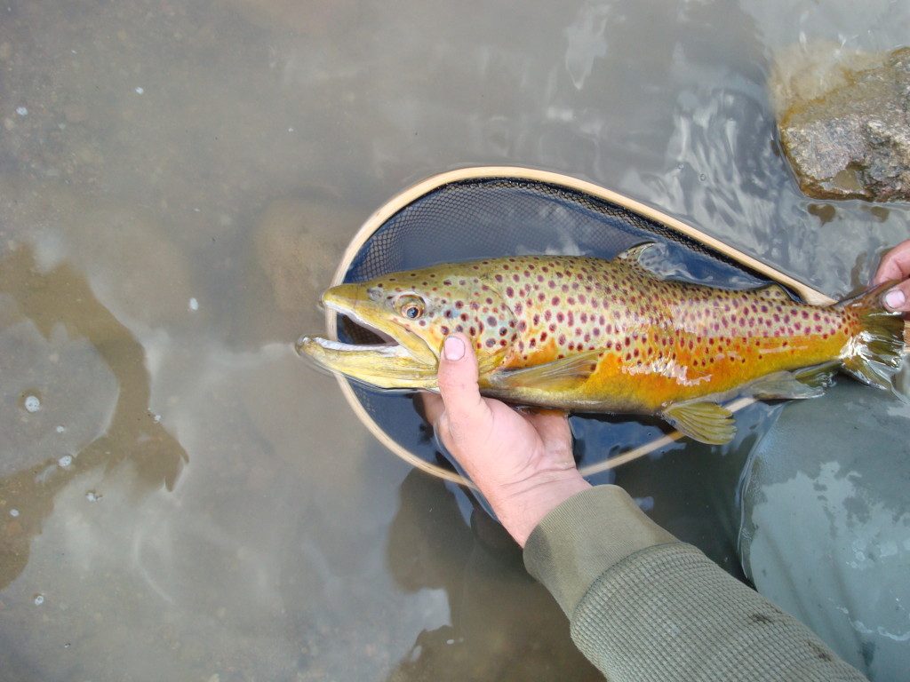 delaney butes lakes fly fishing info
