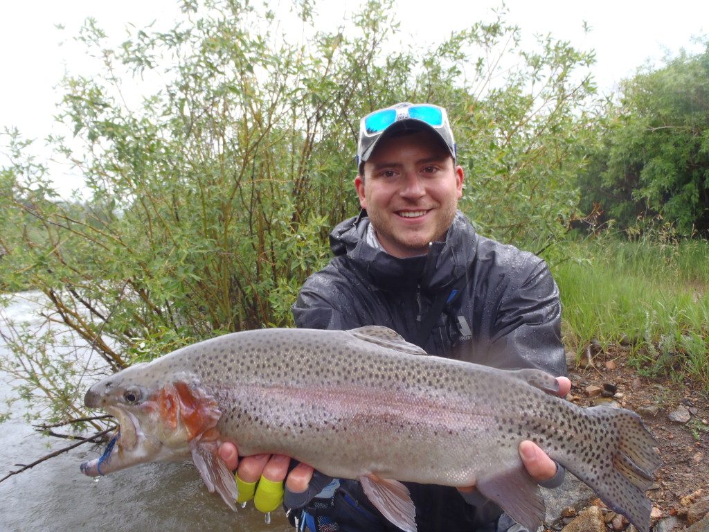 rainbow trout north fork of south platte river