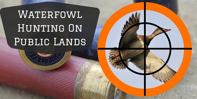 diy-colorado-waterfowl-hunting-on-public-lands