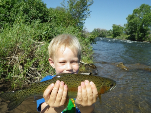 Brush Creek Confluence
