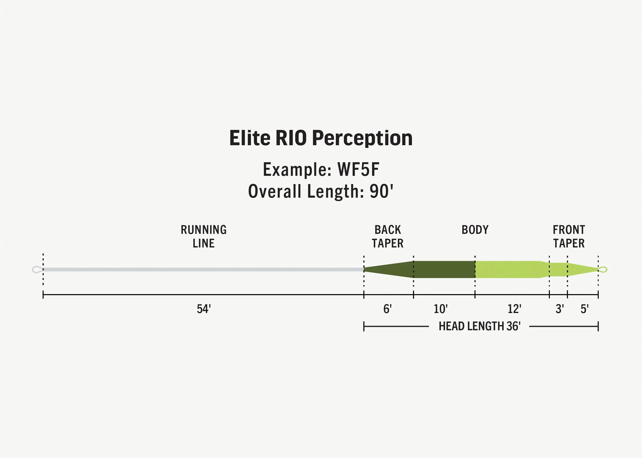 fly line elite RIO taper