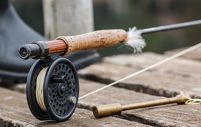 fly fishing lines