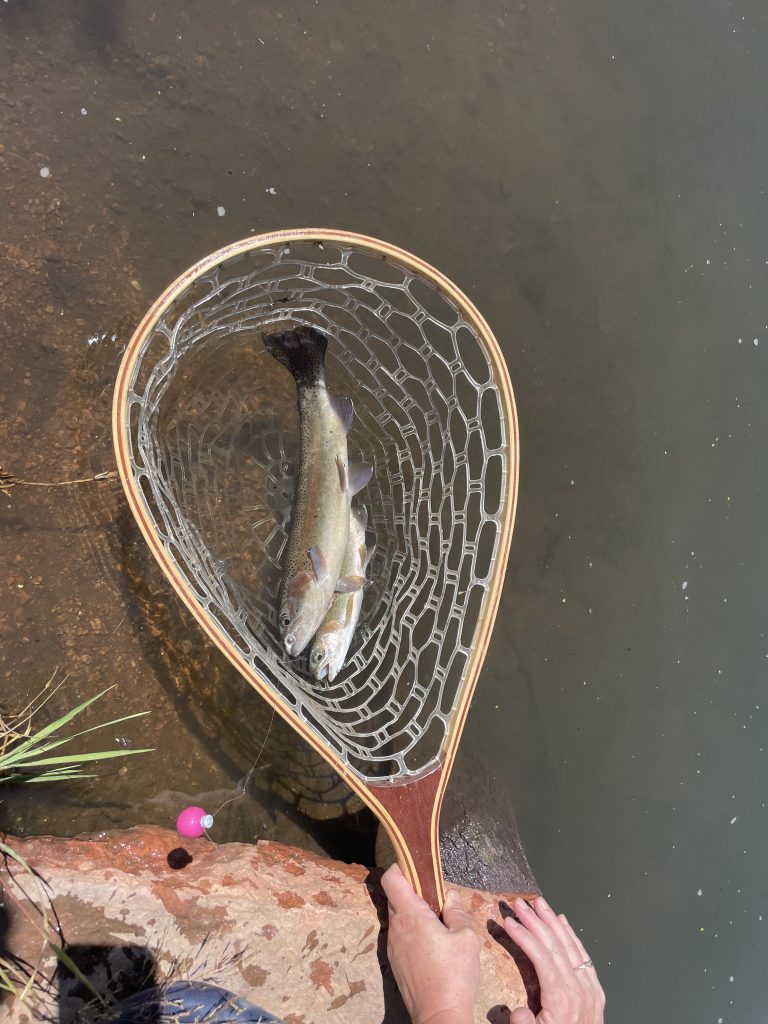 Everything You Never Wanted to Know About Fly Fishing Nets, hand holding wooden fly fishing landing net over a river with a fish inside the net